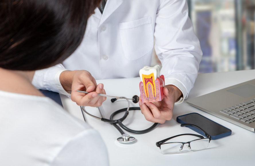 Dentist showing patient model root canal